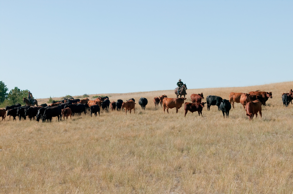 Can Our Diets Impact The Planet? The Ghg Guru Weighs In - Oregon 